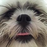 Kathy Laird Jackson - @kathyjacksonrn - Instagram