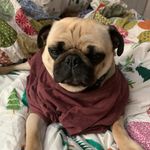 Kathy Lammers - @kathy.lammers - Instagram