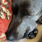 Kathy Larimer - @bogah46 - Instagram