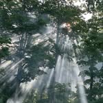 Kathy Lauer - @kathy.lauer.5 - Instagram