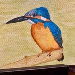 Kathy Laughlin - @eskie9 - Instagram