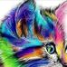 Kathy Laughlin - Facebook