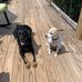Kathy Poulsen Laughlin - Facebook