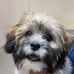 Kathy Chiddix Lawless - Facebook