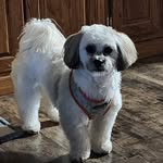 Kathy Chiddix Lawless - @kathy.lawless.56 - Instagram