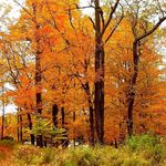 Kathy Lawless Smith - @kathrynasmith16 - Instagram