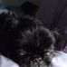 Kathy Leake - Facebook
