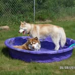 Kathy Learned - Facebook
