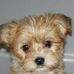 Kathy Leclair - Facebook