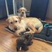 Kathy Leddy - Facebook