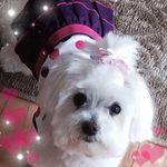 Kathy Swierupski-Leddy - @swierupskileddy - Instagram