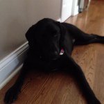 Kathy Leeds - @kathyleeds620 - Instagram