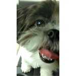 Kathy Leger - @kathy.leger.98 - Instagram