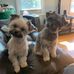 Kathy Libby - Facebook
