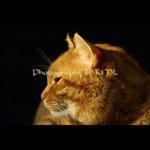 kathy libby - @photosbykml - Instagram