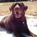 Kathy Libby - Facebook