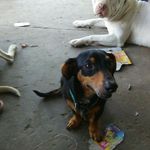 Kathy Liles - @kathy.liles.984 - Instagram