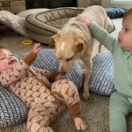 Kathy Lindgren - @kat.lindgren3492 - Instagram
