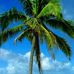 Kathy Lindgren - Facebook