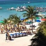 Kathy Lindgren Kustanovitz - @kkustanovitz - Instagram