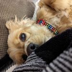 Kathy Lindquist - @kathylindquist - Instagram