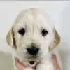 kathymlindquistgl - @kathy.m.lindquist - TikTok