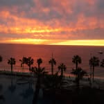 Kathy Lindstrom - @orientalstu69 - Instagram