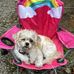 Kathy Lockard - Facebook