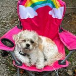 Kathy Lockard - @lockard.kathy - Instagram