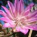 Kathy Lockridge - Facebook