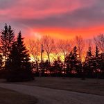 Kathy Loewen - @k_loewen - Instagram