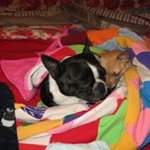 Kathy Loftis-Hooper Reed - @kathyreed1967 - Instagram