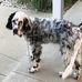 Kathy Gibisser Longo - Facebook