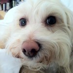 Kathy Look - @klook_54 - Instagram