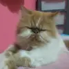 KATHYLOOKKATE - @kathylookkate - TikTok