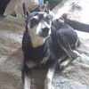 kathylossing - @kathylossing - TikTok