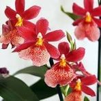 Kathy Louis - Facebook
