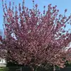 kathylundquist940 - @kathylundquist940 - TikTok
