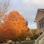 Kathy Luong - @kathy.luong.140 - Instagram