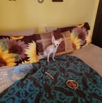 Kathy Lusk - Facebook