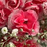 Kathy Lusk - @knmaven80 - Instagram