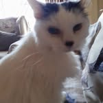 Kathy Lyon - @kathylyon62 - Instagram
