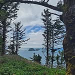 Kathy Lyon - @klyon1948 - Instagram