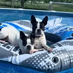Kathy Lyon - @lyon8449 - Instagram