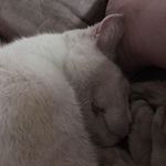 Kathy Lyon - @kathy.lyon.714 - Instagram