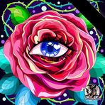 Kathy Lyon - Facebook