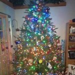 Kathy_machnik - @kathy_machnik - Instagram