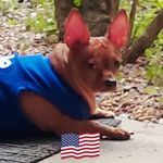 Kathy Maddox - @kathy.maddox.90 - Instagram