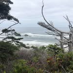 Kathy Maggard - @kathmaggard - Instagram