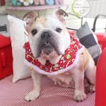 Kathy Mahaffey - @kathy.mahaffey.94 - Instagram
